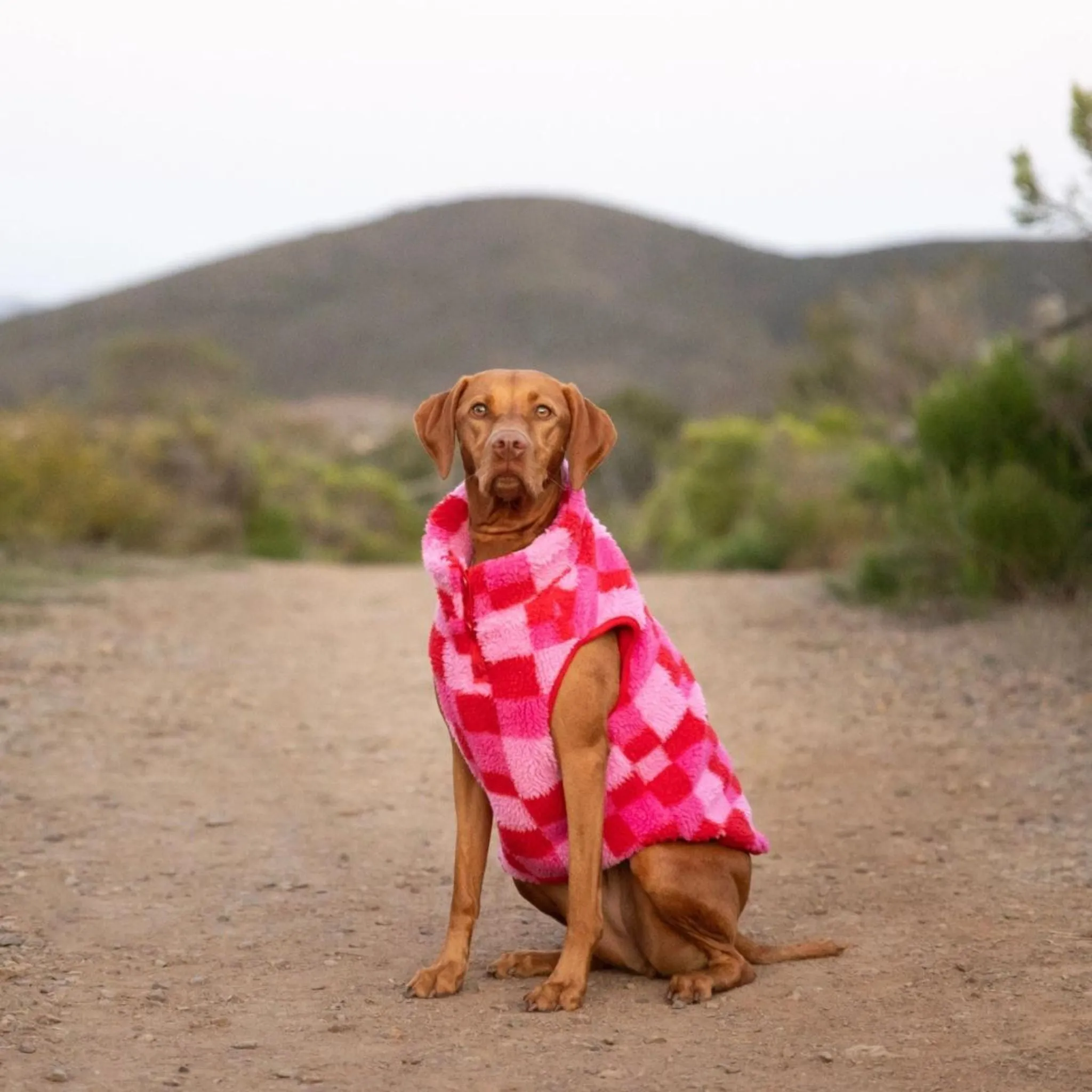 Pink Checkered Matching Dog Ski Vest For Dogs Sherpa